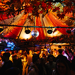 OastTeePee LowRes 167 (1) 