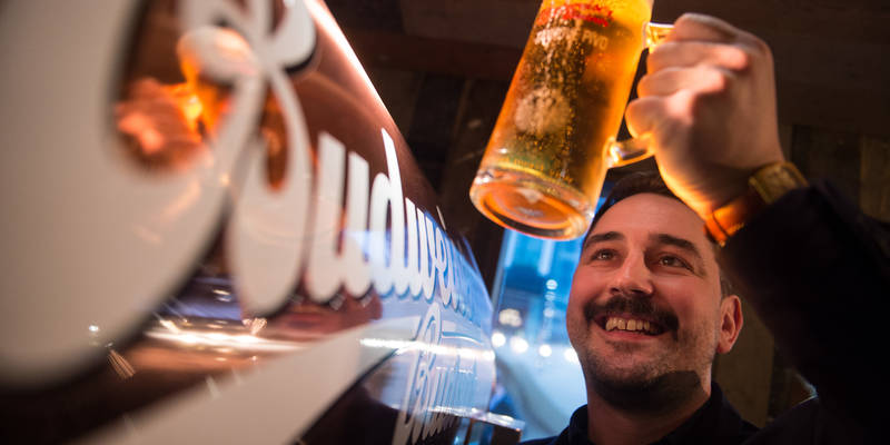Budweiser Pint